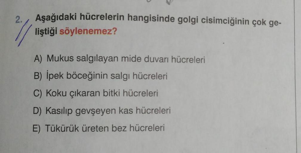 2.
Aşağıdaki hücrelerin hangisinde golgi cisimciğinin çok ge-
liştiği söylenemez?
A) Mukus salgılayan mide duvarı hücreleri
B) İpek böceğinin salgı hücreleri
C) Koku çıkaran bitki hücreleri
D) Kasılıp gevşeyen kas hücreleri
E) Tükürük üreten bez hücreleri
