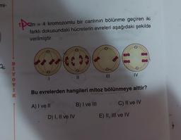 mi-
1Dx2n
2n = 4 kromozomlu bir canlının bölünme geçiren iki
farklı dokusundaki hücrelerin evreleri aşağıdaki şekilde
verilmiştir. =
669
z
Y
III
IV
i
K
Bu evrelerden hangileri mitoz bölünmeye aittir?
A) I ve II
B) I ve III
C) Il ve IV
D) I, II ve IV
E) II, III ve IV
