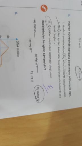 1. Il ve
5.
Hayvan hücresinde meydana gelen mayoz bölünme ile ilgili
1. Anafaz levresinde homolog krómozomlar zit kutuplara çekilir.
Golgiden aynlan kesecikler hücrenin ortasında birikerek ara
lamel oluşturur.
III. Ig iplikleri sentrioller tarafından oluşt