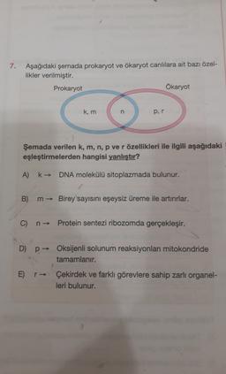 7.
Aşağıdaki şemada prokaryot ve ökaryot canlılara ait bazı özel-
likler verilmiştir.
Prokaryot
Ökaryot
k, m
n
per
Şemada verilen k, m, n, p ve r özellikleri ile ilgili aşağıdaki
eşleştirmelerden hangisi yanlıştır?
A) k→ DNA molekülü sitoplazmada bulunur.
B) m → Birey sayısını eşeysiz üreme ile artırırlar.
C) n →
Protein sentezi ribozomda gerçekleşir.
D)
p → Oksijenli solunum reaksiyonları mitokondride
tamamlanır.
E) r →
r → Çekirdek ve farklı görevlere sahip zarli organel-
leri bulunur.
