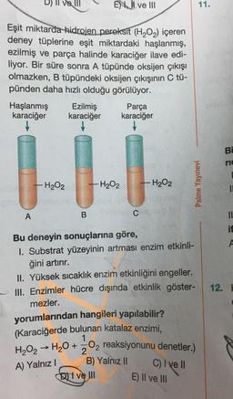 Ve III
E) Il ve III
11.
Eşit miktarda hidrojen peroksit (H2O2) içeren
deney tüplerine eşit miktardaki haşlanmış,
ezilmiş ve parça halinde karaciğer ilave edi-
liyor. Bir süre sonra A tüpünde oksijen çıkışı
olmazken, B tüpündeki oksijen çıkışının C tü-
pünden daha hızlı olduğu görülüyor.
Haşlanmış Ezilmiş Parça
karaciğer karaciğer karaciğer
Bi
ric
H202
-H₂O2
FH₂O2
Palme Yayınevi
A
B
C
II
if
12.
Bu deneyin sonuçlarına göre,
1. Substrat yüzeyinin artması enzim etkinli-
ğini artırır.
II. Yüksek sıcaklık enzim etkinliğini engeller.
III. Enzimler hücre dışında etkinlik göster-
mezler.
yorumlarından hangileri yapılabilir?
(Karaciğerde bulunan katalaz enzimi,
H2O2 → H2O +
A) Yalnız 1
B) Yalnız II
QUI ve III
O2 reaksiyonunu denetler.)
C) I ve II
E) Il ve III