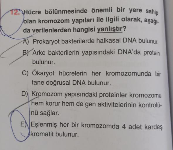 12.Hücre bölünmesinde önemli bir yere sahip
olan kromozom yapıları ile ilgili olarak, aşağı-
da verilenlerden hangisi yanlıştır?
A) Prokaryot bakterilerde halkasal DNA bulunur.
By Arke bakterilerin yapısındaki DNA'da protein
bulunur.
C) Ökaryot hücrelerin