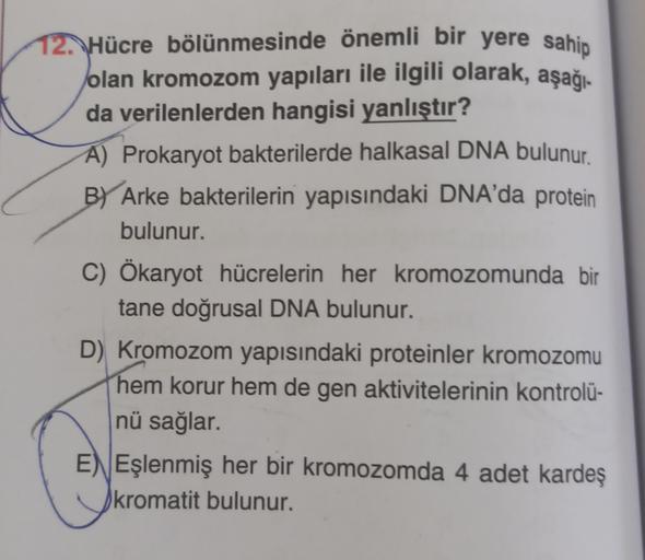 12.Hücre bölünmesinde önemli bir yere sahip
olan kromozom yapıları ile ilgili olarak, aşağı-
da verilenlerden hangisi yanlıştır?
A) Prokaryot bakterilerde halkasal DNA bulunur.
By Arke bakterilerin yapısındaki DNA'da protein
bulunur.
C) Ökaryot hücrelerin 