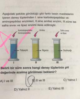 Aşağıdaki şekilde görüldüğü gibi farklı besin maddelerini
içeren deney tüplerinden I. sine karboksipeptidaz ve
aminopeptidaz enzimleri, II.sine amilaz enzimi, III.süne ise
safra Sivisi ve lipaz enzimi ilave edilmiştir.
Amilaz
Safra SIVISI
Karboksipeptidaz
Aminopeptidaz
ve lipaz
Polipeptit
► Nişasta
→ Zeytinyağı
II
Belirli bir süre sonra hangi deney tüplerinin pH
değerinde azalma görülmesi beklenir?
A) I ve III
co
B) II ve III
C) Yalnız
D) Yalnız II
E) Yalnız III