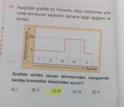 11. Aşağıdaki grafikte bir hücrenin mitoz bölünmesi süre-
cinde kromozom sayısının zamana bağlı değişimi ve-
rilmiştir.
2a
Y
o
3
Kromozom sayısı
IV
V
Zaman
Grafikte verilen zaman dilimlerinden hangisinde
kardeş kromatitler birbirinden ayrılır?
A)
B)
C) III
D) IV
E) V