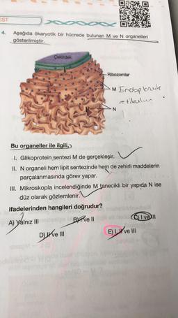 EST
4.
Aşağıda ökaryotik bir hücrede bulunan M ve N organelleri
gösterilmiştir.
Çekirdek
Ribozomlar
m Endoplasuk
retikulen
N
Bu organeller ile ilgili,
I. Glikoprotein sentezi M de gerçekleşir.
II. N organeli hem lipit sentezinde hem de zehirli maddelerin
parçalanmasında görev yapar.
III. Mikroskopla incelendiğinde M tanecikli bir yapıda N ise
düz olarak gözlemlenir.
ifadelerinden hangileri doğrudur?
BIPve II
I Vell
A) Yalnız III
Dell
E) Hve III
