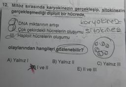 12. Mitoz sırasında karyokinezin gerçekleşip, sitokinezin
19
gerçekleşmediği diploit bir hücrede,
8
DNA miktarının artışı
karyotirea
Çok çekirdekli hücrelerin oluşumu sitokineo
Haploit hücrelerin oluşumu
olaylarından hangileri gözlenebilir?
A) Yalnız!
B) Yalnız II
I ve II
C) Yalnız II
E) II ve III
