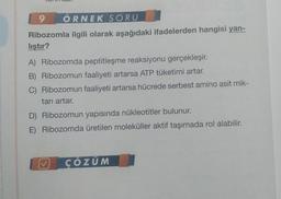 9 ÖRNEK SORU
Ribozomla ilgili olarak aşağıdaki ifadelerden hangisi yan-
lıştır?
A) Ribozomda peptitleşme reaksiyonu gerçekleşir.
B) Ribozomun faaliyeti artarsa ATP tüketimi artar.
C) Ribozomun faaliyeti artarsa hücrede serbest amino asit mik-
tarı artar.
D) Ribozomun yapısında nükleotitler bulunur.
E) Ribozomda üretilen moleküller aktif taşımada rol alabilir.
ÇÖZÜM
