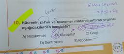bez
Glikot Cortisie
> H2O + O2
10. Hücrenin pH'mi ve monomer miktarını arttıran organel
aşağıdakilerden hangisidir?
7
A) Mitokondri Kloroplast C) Golgi
D) Sentrozom E) Ribozom
o prilor
oth the
117
10B
7
8. A
9B