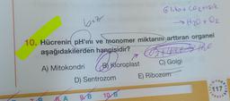 bez
Glikot Cortisie
> H2O + O2
10. Hücrenin pH'mi ve monomer miktarını arttıran organel
aşağıdakilerden hangisidir?
7
A) Mitokondri Kloroplast C) Golgi
D) Sentrozom E) Ribozom
o prilor
oth the
117
10B
7
8. A
9B
