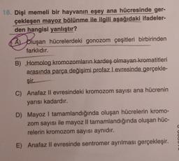 18. Dişi memeli bir hayvanın eşey ana hücresinde ger-
çekleşen mayoz bölünme ile ilgili aşağıdaki ifadeler-
den hangisi yanlıştır?
A oluşan hücrelerdeki gonozom çeşitleri birbirinden
farklıdır.
Bb oluşan
B) Homolog kromozomların kardeş olmayan kromatitleri
arasında parça değişimi profaz Levresinde gerçekle-
şir.
C) Anafaz ll evresindeki kromozom sayısı ana hücrenin
yarısı kadardır.
D) Mayoz I tamamlandığında oluşan hücrelerin kromo-
zom sayısı ile mayoz II tamamlandığında oluşan hüc-
relerin kromozom sayısı aynıdır.
E) Anafaz ll evresinde sentromer ayrılması gerçekleşir.
