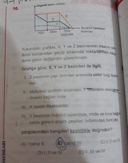 Organik besin miktan
10.
Z
Sindirim kanalının
kisimlar
Ağız
Mide
Ince
bağırsak
Yukarıdaki grafikte, X, Y ve Z besinlerinin insanın sin-
dirim kanalından geçişi sırasında miktarlarında mey-
dana gelen değişimler gösterilmiştir.
Grafiğe göre, X, Y ve Z besinleri ile ilgili,
1. Z besininin yapı birimleri arasında ester bağı bulu-
nur
II. Midedeki sindirim enzimleri, Y tresininin monome-
rindeki bağları kırar.
III. X besini disakkarittir.
IV. Y besininin hidrolizi sürecinde, mide ve ince bağır-
sakta görevli enzim çeşitleri birbirinden farklıdır.
yargılarından hangileri kesinlikle doğrudur?
A) Yalnız 11
Yalnız
IV
C) I, Il ve Ill
YAYINLARI
D) I, II ve IV
E) II, III ve IV