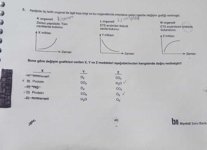 3.
Aşağıda üç farklı organel ile ilgili kısa bilgi ve bu organellerde meydana gelen madde değişim gratiği verilmiştir.
Riborom
K organeli
Zarsız yapıdadır. Tüm
canhlarda bulunur.
Kloroplast
Lorganeli
ETS enzimleri tilakolt
zarda bulunur.
Morganell
ETS enzi