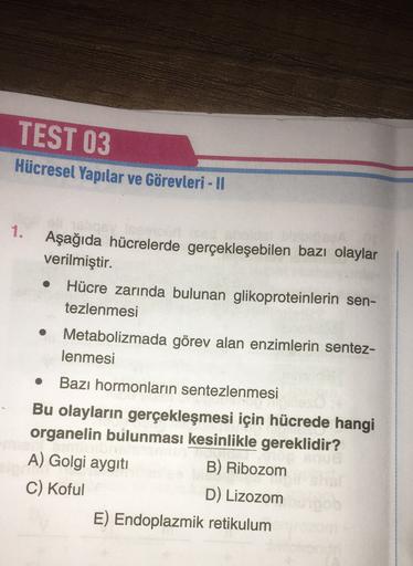 TEST 03
Hücresel Yapılar ve Görevleri - ||
Aşağıda hücrelerde gerçekleşebilen bazı olaylar
verilmiştir.
Hücre zarında bulunan glikoproteinlerin sen-
tezlenmesi
Metabolizmada görev alan enzimlerin sentez-
lenmesi
Bazı hormonların sentezlenmesi
Bu olayların 