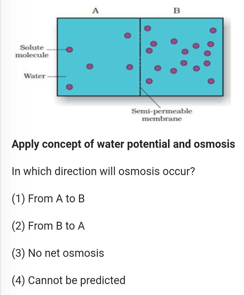 Can Water Pass Through The Semi Permeable Membrane? – KQWEX