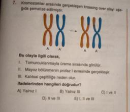7.
Kromozomlar arasında gerçekleşen krossing over olayı aşa-
Qida şematize edilmiştir.
88-88
A A
A A
Bu olayla ilgili olarak,
1. Tomurcuklanmayla üreme sırasında görülür.
II. Mayoz bölünmenin profazi evresinde gerçekleşir.
III. Kalitsal çeşitliliğe neden olur.
ifadelerinden hangileri doğrudur?
A) Yalnız 1
B) Yalnız III
C) I ve II
D) Il ve III E) I, II ve III