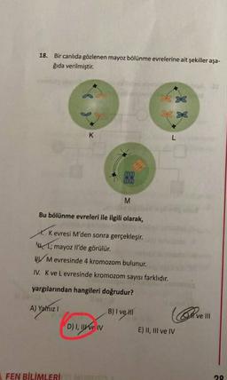 18. Bir canlıda gözlenen mayoz bölünme evrelerine ait şekiller aşa-
ğıda verilmiştir.
*
* *
K
L
com
w
M
Bu bölünme evreleri ile ilgili olarak,
1. Kevresi M'den sonra gerçekleşir.
L; mayoz Il'de görülür.
W Mevresinde 4 kromozom bulunur.
IV. K ve Levresinde kromozom sayısı farklıdır.
yargılarından hangileri doğrudur?
A) Yalnız
B) I ve II
vel
) D) I, II ve IV
E) II, III ve IV
FEN BİLİMLERİ
29