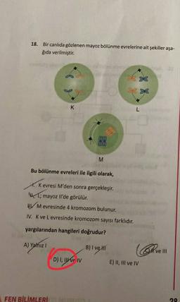 18. Bir canlıda gözlenen mayoz bölünme evrelerine ait şekiller aşa-
ğıda verilmiştir.
*
* *
K
L
com
w
M
Bu bölünme evreleri ile ilgili olarak,
1. Kevresi M'den sonra gerçekleşir.
L; mayoz Il'de görülür.
W Mevresinde 4 kromozom bulunur.
IV. K ve Levresinde kromozom sayısı farklıdır.
yargılarından hangileri doğrudur?
A) Yalnız
B) I ve II
vel
) D) I, II ve IV
E) II, III ve IV
FEN BİLİMLERİ
29
