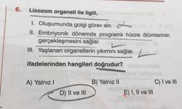 6.
Lizozom organeli ile ilgili,
1. Oluşumunda golgi görev alır. L
II. Embriyonik dönemde programlı hücre ölümlerinin
gerçekleşmesini sağlar.
III. Yaşlanan organellerin yıkımını sağlar. -
ifadelerinden hangileri doğrudur?
A) Yalnız
B) Yalnız 11
C) I ve III
E) I, II ve III
D) II ve III