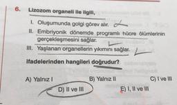 6.
Lizozom organeli ile ilgili,
1. Oluşumunda golgi görev alır. L
II. Embriyonik dönemde programlı hücre ölümlerinin
gerçekleşmesini sağlar.
III. Yaşlanan organellerin yıkımını sağlar. -
ifadelerinden hangileri doğrudur?
A) Yalnız
B) Yalnız 11
C) I ve III
E) I, II ve III
D) II ve III
