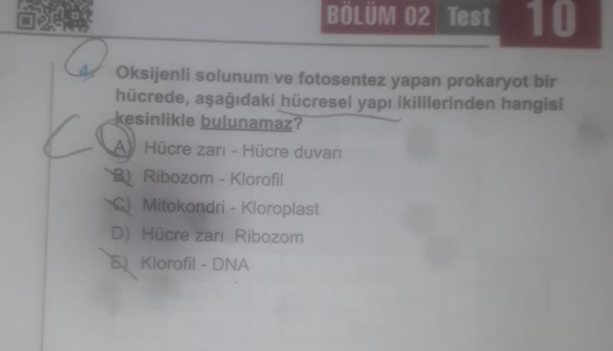 BÖLÜM 02 Test 10
C
Oksijenli solunum ve fotosentez yapan prokaryot bir
hücrede, aşağıdaki hücresel yapı ikililerinden hangisi
kesinlikle bulunamaz?
AY Hücre zarı - Hücre duvarı
B) Ribozom - Klorofil
C) Mitokondri - Kloroplast
D) Hücre zarı Ribozom
E) Kloro