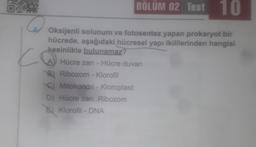 BÖLÜM 02 Test 10
C
Oksijenli solunum ve fotosentez yapan prokaryot bir
hücrede, aşağıdaki hücresel yapı ikililerinden hangisi
kesinlikle bulunamaz?
AY Hücre zarı - Hücre duvarı
B) Ribozom - Klorofil
C) Mitokondri - Kloroplast
D) Hücre zarı Ribozom
E) Klorofil - DNA