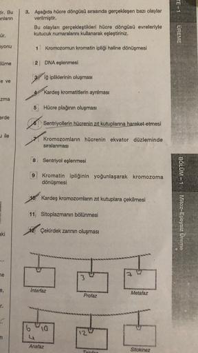 TE-1
tir. Bu
anların
3. Aşağıda hücre döngüsü sırasında gerçekleşen bazı olaylar
verilmiştir.
Bu olayları gerçekleştikleri hücre döngüsü evreleriyle
kutucuk numaralarını kullanarak eşleştiriniz.
ür.
UREME
syonu
11 Kromozomun kromatin ipliği haline dönüşmes