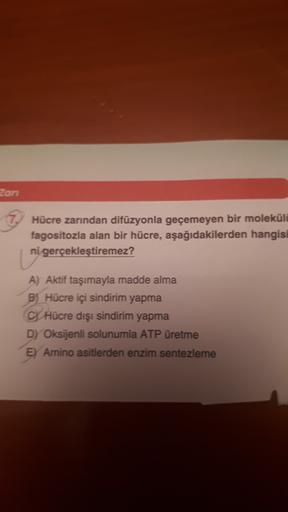 Zari
Hücre zarından difüzyonla geçemeyen bir molekülü
fagositozla alan bir hücre, aşağıdakilerden hangisi
ni gerçekleştiremez?
A) Aktif taşımayla madde alma
B) Hücre içi sindirim yapma
CHücre dışı sindirim yapma
DY Oksijenli solunumla ATP üretme
E) Amino a