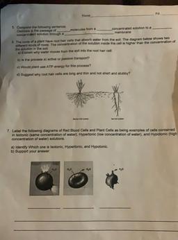 Pa
Name
5. Complete the following sentence
Osmosis is the passage of
sholecules from a
concentrated solution to a
concentrated solution through a
membrane
8. The roots of a plant have root hair cells that absorb water from the soil. The diary ar below show