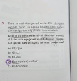 3. Elma bahçesinden geçmekte olan Elfin bir ağacın
yanında durur. Bu ağaçta nişastasındaki karbon
atomları işaretlenmiş elmalar bulunmaktadır.
Elfin'in bu elmalardan birini tüketmesi sonucu
dokularında aşağıdaki moleküllerden hangisi-
nin işaretli karbon atomu taşıması beklenmez?
A) Glikojen
B) Glikoz
C) Gliserol
D) Esansiyel yağ asitlerin
E) Karbondioksit