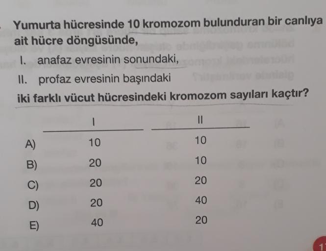 Yumurta hücresinde 10 kromozom bulunduran bir canlıya
ait hücre döngüsünde,
I. anafaz evresinin sonundaki,
II. profaz evresinin başındaki
iki farklı vücut hücresindeki kromozom sayıları kaçtır?
1
Il
10
10
A)
2
20
B)
10
C)
20
20
40
D D)
20
E)
40
20
