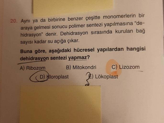 20. Aynı ya da birbirine benzer çeşitte monomerlerin bir
araya gelmesi sonucu polimer sentezi yapılmasına "de-
hidrasyon" denir. Dehidrasyon sırasında kurulan bağ
sayısı kadar su açığa çıkar.
Buna göre, aşağıdaki hücresel yapılardan hangisi
dehidrasyon sen