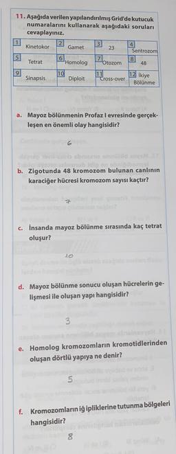11. Aşağıda verilen yapılandırılmış Grid'de kutucuk
numaralarını kullanarak aşağıdaki soruları
cevaplayınız
1
2
Kinetokor
3
4
Gamet
23
Sentrozom
5
6
8
Z.
Tetrat Homolog Otozom 48
9
10
Sinapsis
Diploit
11.ross-over 12 ikiye
Bölünme
a. Mayoz bölünmenin Profazl evresinde gerçek-
leşen en önemli olay hangisidir?
Duo
rubidin
b. Zigotunda 48 kromozom bulunan canlının
karaciğer hücresi kromozom sayısı kaçtır?
c. İnsanda mayoz bölünme sırasında kaç tetrat
oluşur?
to
d. Mayoz bölünme sonucu oluşan hücrelerin ge-
lişmesi ile oluşan yapı hangisidir?
e. Homolog kromozomların kromotidlerinden
oluşan dörtlü yapıya ne denir?
5
f. Kromozomların iğipliklerine tutunma bölgeleri
hangisidir?
DO