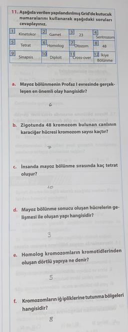 11. Aşağıda verilen yapılandırılmış Grid'de kutucuk
numaralarını kullanarak aşağıdaki soruları
cevaplayınız
1
2
Kinetokor
3
4
Gamet
23
Sentrozom
5
6
8
Z.
Tetrat Homolog Otozom 48
9
10
Sinapsis
Diploit
11.ross-over 12 ikiye
Bölünme
a. Mayoz bölünmenin Profazl evresinde gerçek-
leşen en önemli olay hangisidir?
Duo
rubidin
b. Zigotunda 48 kromozom bulunan canlının
karaciğer hücresi kromozom sayısı kaçtır?
c. İnsanda mayoz bölünme sırasında kaç tetrat
oluşur?
to
d. Mayoz bölünme sonucu oluşan hücrelerin ge-
lişmesi ile oluşan yapı hangisidir?
e. Homolog kromozomların kromotidlerinden
oluşan dörtlü yapıya ne denir?
5
f. Kromozomların iğipliklerine tutunma bölgeleri
hangisidir?
DO
