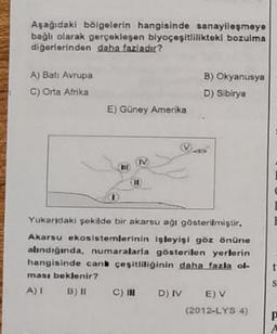 Aşağıdaki bölgelerin hangisinde sanayileşmeye
bağlı olarak gerçekleşen biyoçeşitlilikteki bozulma
digerlerinden daha fazladır?
A) Batı Avrupa
c) Orta Afrika
B) Okyanusya
D) Sibirya
E) Güney Amerika
V
M
Cut
Yukaridaki şekilde bir akarsu agi gösterilmiştir.
Akarsu ekosistemlerinin işleyişi göz önüne
alındığında, numaralarla gösterilen yerlerin
hangisinde can çeşitliliğinin daha fazla ol
ması beklenir?
A) B) 11 C) IR D) IV EV
(2012-LYS 4)
t
S
