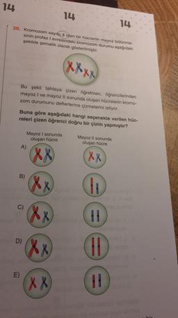 14
14
14.
20. Kromozom sayısı 4 olan bir hücrenin mayoz bölünme-
sinin profaz I evresindeki kromozom durumu aşağıdaki
şekilde şematik olarak gösterilmiştir.
Xxxx
Bu şekli tahtaya çizen öğretmen, öğrencilerinden
mayoz I ve mayoz Il sonunda oluşan hücrelerin kromo-
zom durumunu defterlerine çizmelerini istiyor.
Buna göre aşağıdaki hangi seçenekte verilen hüc-
releri çizen öğrenci doğru bir çizim yapmıştır?
Mayoz I sonunda
oluşan hücre
A)
Mayoz ll sonunda
oluşan hücre
XX
B)
X8
C)
C
88
11
D)
(XX
Xx
CHI
E)
X 8
11
