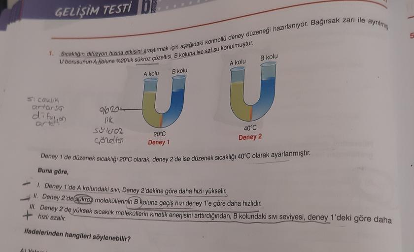 GELİŞİM TESTI bi
5
1. Sıcaklığın dilüzyon hızına etkisini araştırmak için aşağıdaki kontrollü deney düzeneği hazırlanıyor. Bağırsak zarı ile ayrılmi
U borusunun A koluna %20'lik sükroz çözeltisi, B koluna ise saf su konulmuştur.
B kolu
A kolu
A kolu
B kolu