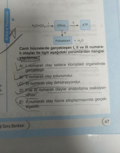 6.
II
Ankara Yayıncılık
H,O+CO,
Glikoz
ATP
Polisakkarit
+ H₂O
Canlı hücrelerde gerçekleşen I, II ve III numara-
li olaylar ile ilgili aşağıdaki yorumlardan hangisi
yapılamaz?
A) I numaralı olay sadece kloroplast organelinde
gerçekleşir.
B) II numarali olay