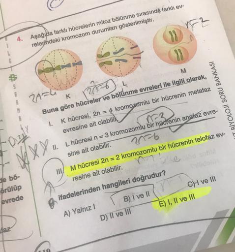 4. Aşağıda farklı hücrelerin mitoz bölünme sırasında farklı ev-
relerindeki kromozom durumları gösterilmiştir.
M
2A=4
IT BİYOLOJI SORU BANKASI
M
2.
88
K
L
Buna göre hücreler ve bölünme evreleri ile ilgili olarak,
1.
K hücresi, 2n = 4 kromozomlu bir hücreni