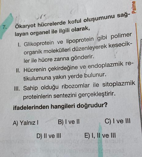 Palme
7.
Ökaryot hücrelerde koful oluşumunu sağ-
layan organel ile ilgili olarak,
1. Glikoprotein ve lipoprotein gibi polimer
organik molekülleri düzenleyerek kesecik-
ler ile hücre zarına gönderir.
II. Hücrenin çekirdeğine ve endoplazmik re-
tikulumuna ya