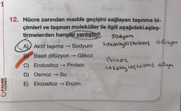 12. Hücre zarından madde geçişini sağlayan taşınma bi-
çimleri ve taşınan moleküller ile ilgili aşağıdaki eşleş-
tirmelerden hangisi
yanlıştır?
Sodyum
A) Aktif taşıma → Sodyum
kolayla stromos diferyon
B) Basit difüzyon → Glikoz
Glikor
C) Endositoz Protein
D) Osmoz → Su
E) Ekzositoz → Enzim
4 Koloy las trimis difryer
PALME
YAYINEVİ