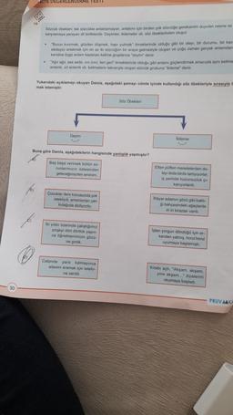 TE DEGERLENDIRME TEST
Sozcuk Obaklert: tok sozcukle anlatilamayan, anlatımı için birden çok nou gereksinim duyulan nesne ve
karşılamaya yarayan dil birlikleridir Deyimler, kilometer vb. soz beklerinden oluşur
.
"Burun kivimak gouden damek, hapi yutmak" örn