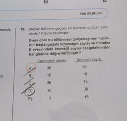B
FEN BİLİMLERİ
asında
19. Mayoz bölünme geçiren bir hücrenin profaz I evre-
sinde 18 tetrat sayılmıştır.
Buna göre bu bölünmeyi gerçekleştiren hücre-
nin başlangıçtaki kromozom sayısı ve metafaz
Il evresindeki kromatit sayısı aşağıdakilerden
hangisinde doğru verilmiştir?
Kromozom sayısı
Kromatit sayisi
36
A)
36
18
IV
B)
18
C
36
18:
D)
18
36
18
E)
9