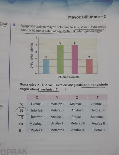 Mayoz Bölünme - I
gidaki
8.
Aşağıdaki grafikte mayoz bölünmenin X, Y, Z ve T evrelerinde
olan bir hücrenin sahip olduğu DNA miktarları gösterilmiştir.
5
Y
Z
4
DNA miktarı (Birim)
X
T
Bölünme evreleri
Buna göre X, Y, Z ve T evreleri aşağıdakilerin hangisind