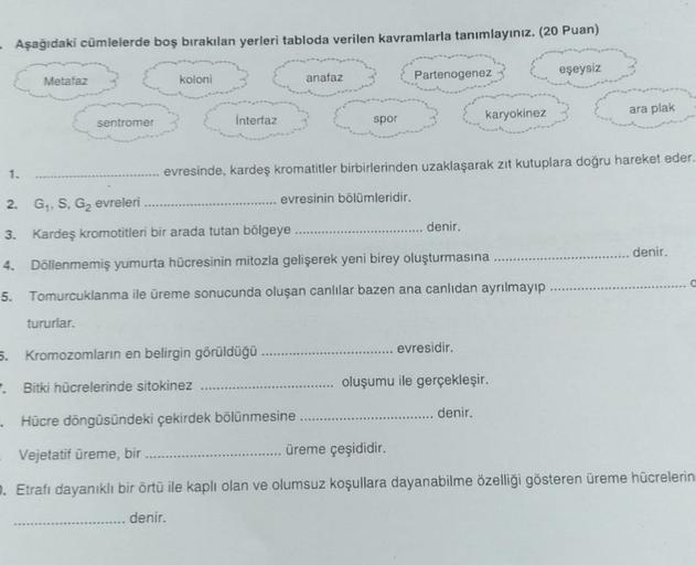 - Aşağıdaki cümlelerde boş bırakılan yerleri tabloda verilen kavramlarla tanımlayınız. (20 Puan)
eşeysiz
Metafaz
koloni
Partenogenez
anafaz
ara plak
sentromer
Interfaz
karyokinez
spor
1.
evresinde, kardeş kromatitler birbirlerinden uzaklaşarak zit kutuplar