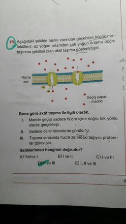 C1B
16. Aşağıdaki şekilde hücre zarından geçebilen küçük mo-
leküllerin az yoğun ortamdan çok yoğun ortama doğru
taşınma şekilleri olan aktif taşıma gösterilmiştir.
P
Hücre
zari
E
5
Geçiş yapan
madde
Buna göre aktif taşıma ile ilgili olarak,
1. Madde geçişi sadece hücre içine doğru tek yönlü
olarak gerçekleşir.
II. Sadece canlı hücrelerde görülür.
III. Taşıma sırasında hücre zarındaki taşıyıcı protein-
ler görev alır.
ifadelerinden hangileri doğrudur?
A) Yalnız!
B) I ve II
C) I ve III
D) Il ve III
E) 1, II ve III
3
