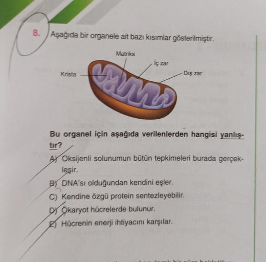8. Aşağıda bir organele ait bazı kısımlar gösterilmiştir.
Matriks
ic 2
zar
AND
Krista
Dış zar
Bu organel için aşağıda verilenlerden hangisi yanlış-
tır?
AX Oksijenli solunumun bütün tepkimeleri burada gerçek-
lesir.
B DNA'sı olduğundan kendini eşler.
C) Ke