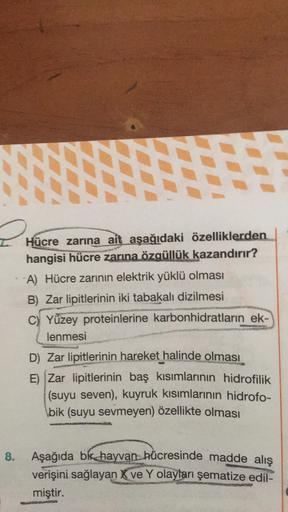 Hücre zarına ait aşağıdaki özelliklerden
hangisi hücre zarına özgüllük kazandırır?
A) Hücre zarinin elektrik yüklü olması
B) Zar lipitlerinin iki tabakalı dizilmesi
C) Yüzey proteinlerine karbonhidratların ek-
lenmesi
D) Zar lipitlerinin hareket halinde ol