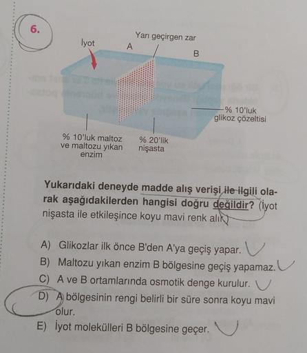 6.
İyot
Yarı geçirgen zar
A
B
% 10'luk
glikoz çözeltisi
% 10'luk maltoz
ve maltozu yıkan
enzim
% 20'lik
nişasta
Yukarıdaki deneyde madde alış verişi ile ilgili ola-
rak aşağıdakilerden hangisi doğru değildir? (iyot
nişasta ile etkileşince koyu mavi renk al