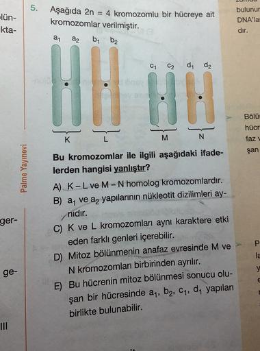 5.
lün-
ikta-
Aşağıda 2n = 4 kromozomlu bir hücreye ait
kromozomlar verilmiştir.
bulunur
DNA'la
dir.
a1
az
by bz
C1
C2
dy d₂
Bölür
hücr
K
faz
şan
Palme Yayınevi
ger-
M
N
Bu kromozomlar ile ilgili aşağıdaki ifade-
lerden hangisi yanlıştır?
A) K-L ve M-N hom